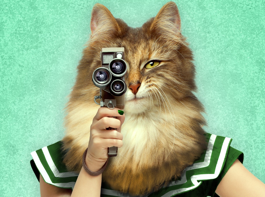 Festival de Cine Medioambiental de Canarias