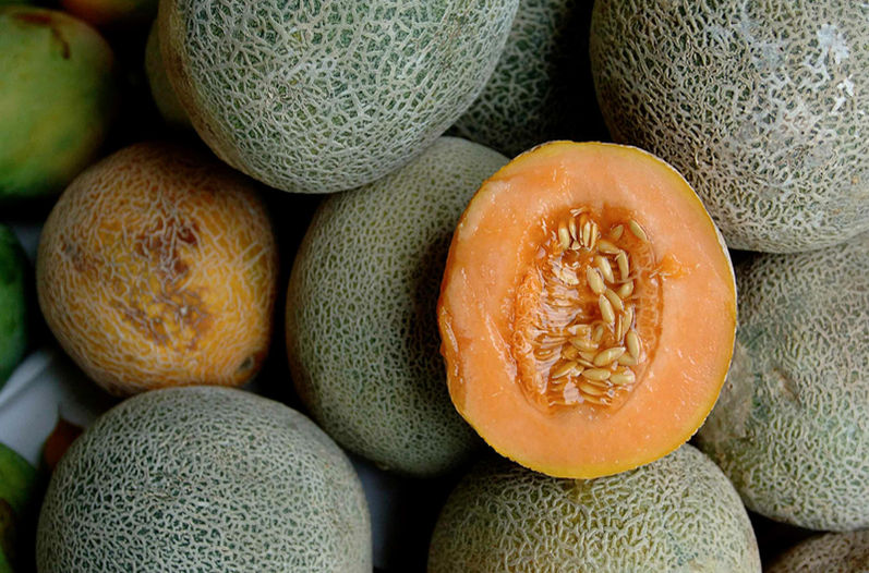 Costa Rica prohíbe importar bromuro de metilo