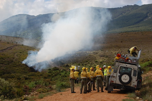 Quieren mejorar los métodos de teledetección para evaluar la gravedad de un incendio