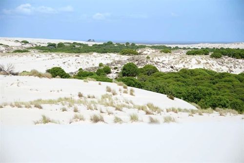 El acuífero de Doñana ‘sobreexplotado’
