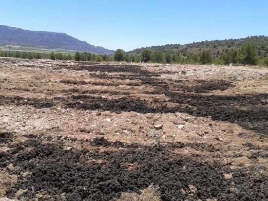En Madrid arrojan 650 toneladas de lodos al campo