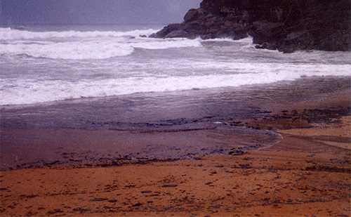 Una empresa estatal iraní ofrece su ayuda para evitar que la marea negra del golfo de México cause un "desastre"