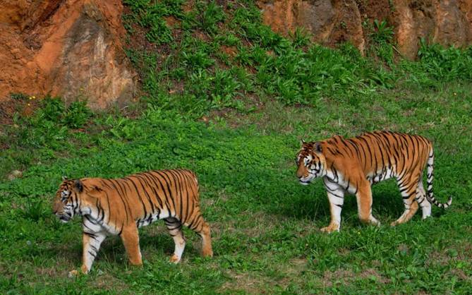 Cabárceno arranca una campaña de reciclaje en pro del programa Movilízate por la Selva