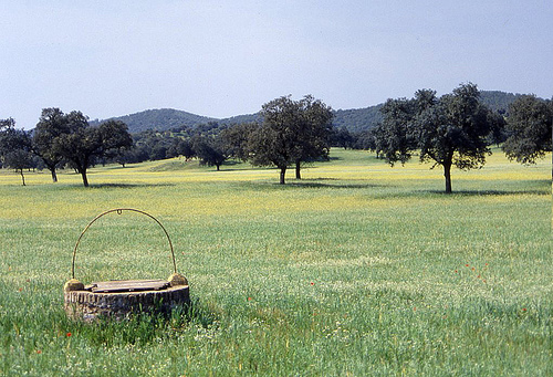 Medio Ambiente lleva a todos los órganos de participación de los espacios naturales el decreto para agilizar los trámites en estos enclaves