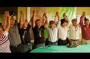 Ecuador: buen rumbo a una Amazonía sin petróleo