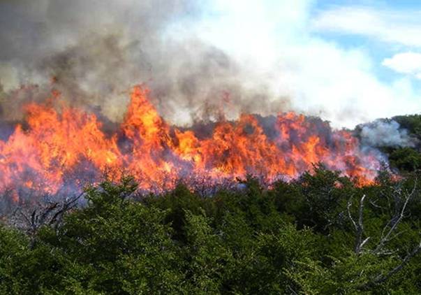 Alerta máxima ante posibles incendios forestales en Extremadura