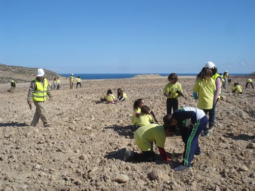 Almeria. Endesa restaura la antigua escombrera de cenizas de su central térmica de Carboneras