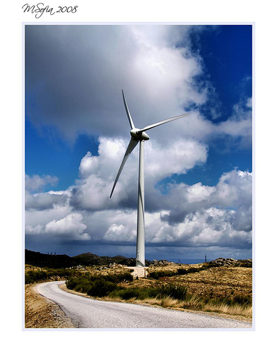 Martín afirma que Cantabria saldrá de la crisis "aferrada" al desarrollo eólico