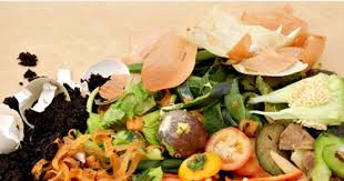 San Sebastián devolverá 140.672 euros a los donostiarras que reciclan residuo orgánico