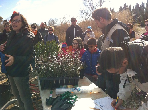 Ferro Spain y la fundación limne refuerzan la Vegetación del Río Millars