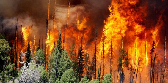 Varios incendios azotan el oeste de Estados Unidos
