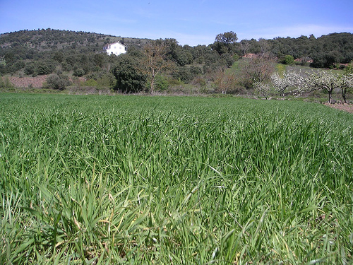Suelos son cada vez más áridos