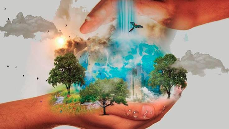 Master destacado en Gestión del Medio Ambiente: sostenibilidad