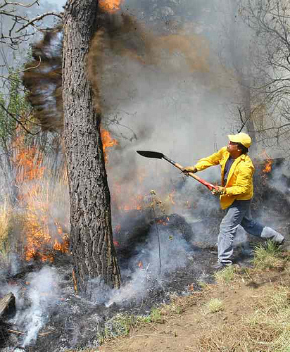 El aumento de incendios amenaza el ecosistema mediterráneo