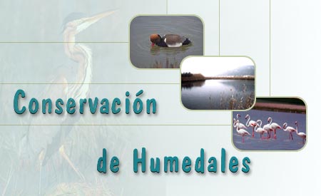 Conservación de Humedales