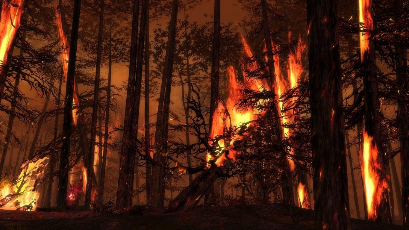 Los montes de España podrían seguir ardiendo