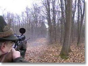 Burgos. Condenado un cazador furtivo de corzos captado por cámaras espía