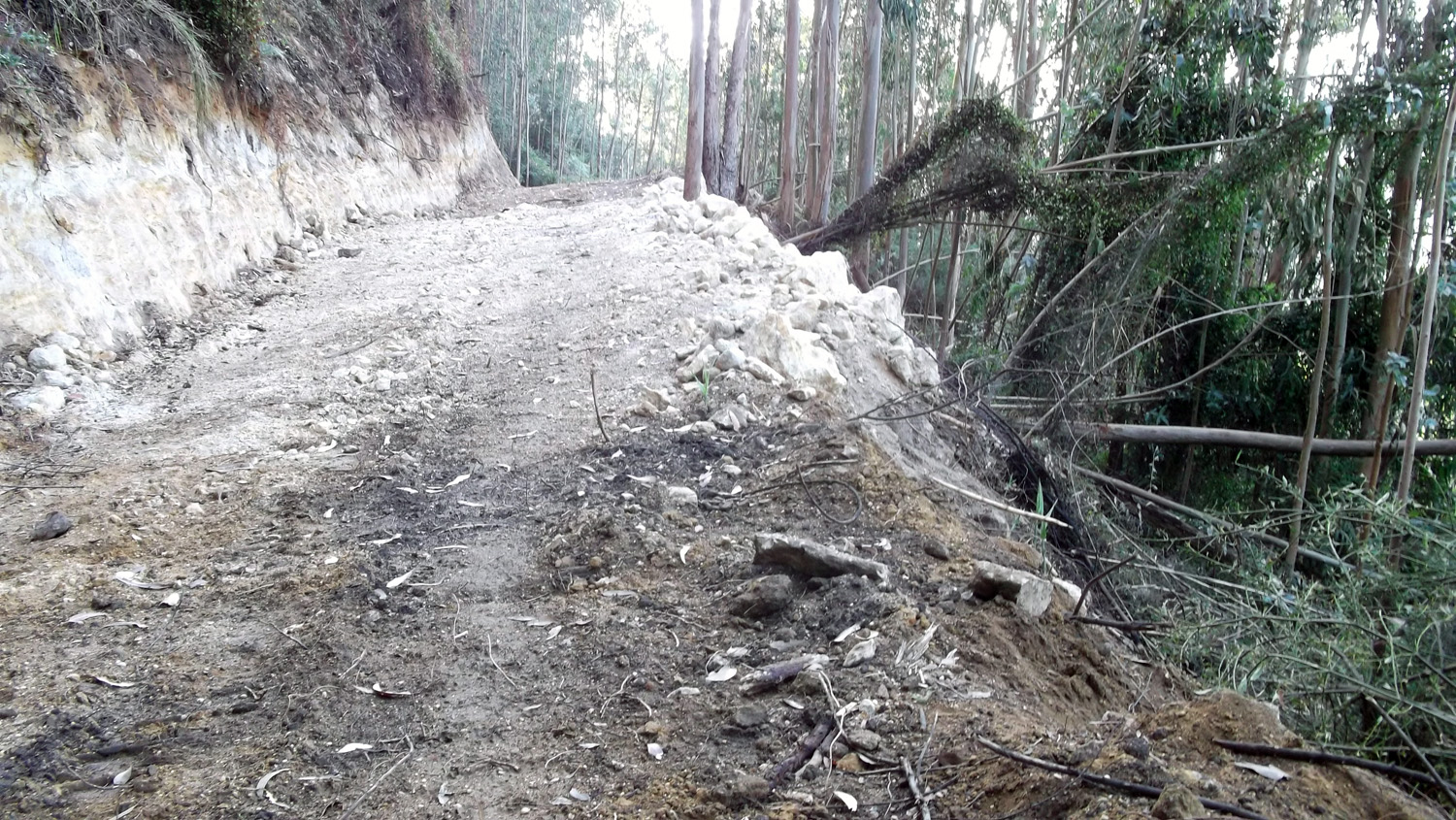 Asturias. El Principado confirma la ilegalidad de la pista de Vilde en Ribadedeva