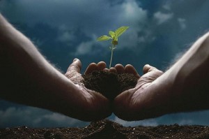 Venezuela. El 2012 gran avance para la Conciencia Ambientalista