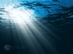 Report says osmotic power potential greater than solar and wind