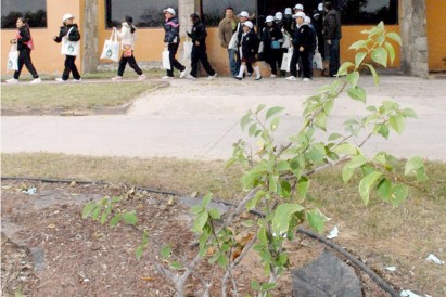 Involucran a los niños en Campaña de Reforestación