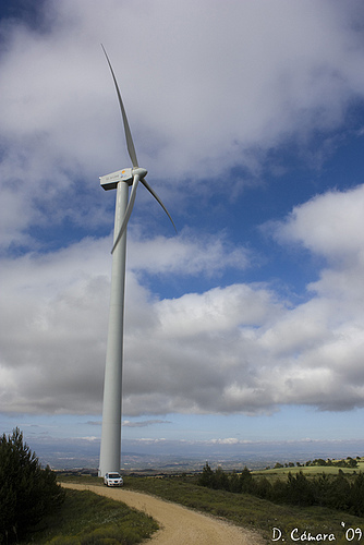 Arca se plantea recurrir en solitario ante los tribunales el concurso eólico
