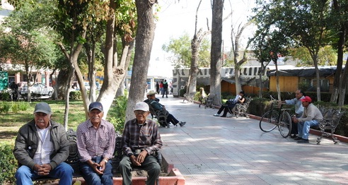 Rebasa Lerdo plan de reforestación