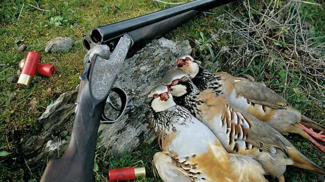 El municipio sevillano de La Roda de Andalucía seguirá cazando diga lo que diga la ley