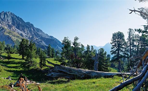 Sólo si eres un amante de la naturaleza te puede interesar este curso