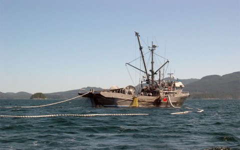 Oceana reclama tolerancia cero al uso de redes de deriva en el mediterráneo en 2011