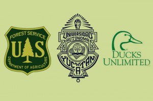 Alta la vulnerabilidad de ecosistemas en zonas costeras