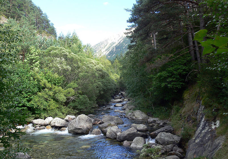 Nuevas reservas fluviales protegidas en la Península para conservar la biodiversidad