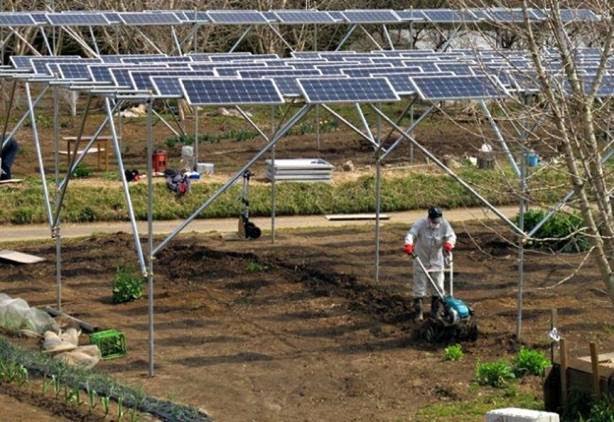 En Murcia quieren apostar por la energía fotovoltaica para abaratar el precio del agua y hacer más competitiva la agricultura