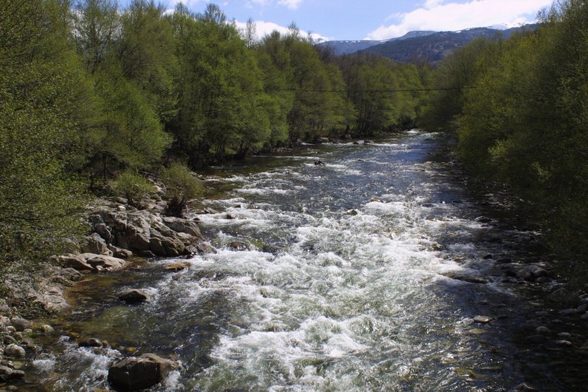 Varios grupos de voluntarios recuperan 395 hectáreas de las riberas protegidas del río Tormes y afluentes (Salamanca)