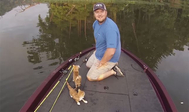 Dos gatitos abandonados nadan hasta la barca de unos pescadores (Vea VIDEO)