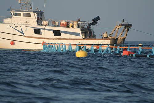 Greenpeace llega a Galicia para apoyar la pesca sostenible