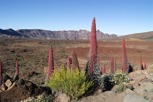 Mora quiere actualizar los planes de los espacios naturales de Tenerife