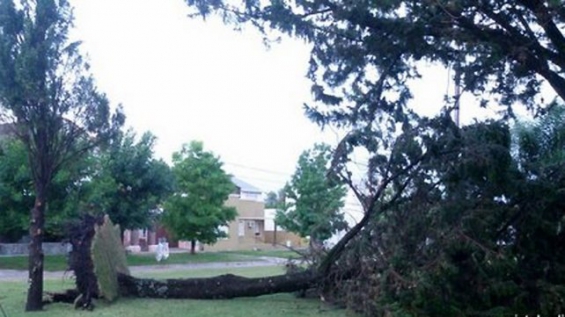 Gran tormenta provoca destrozos en el sudeste entrerriano