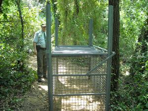 Cataluña actúa contra la caza furtiva cerca del Espacio de Interés Natural Parque del Montnegre y el Corredor