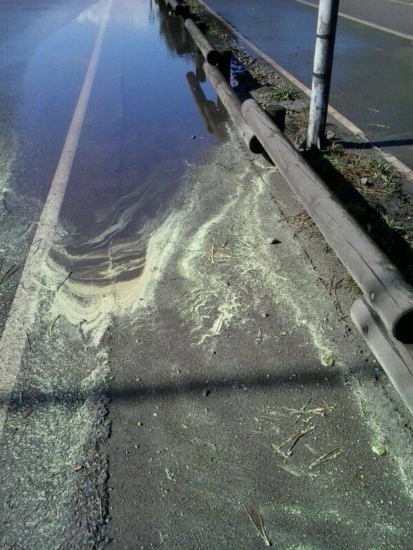 Asturias. La contaminación pone en peligro a los vecinos de Castrillón