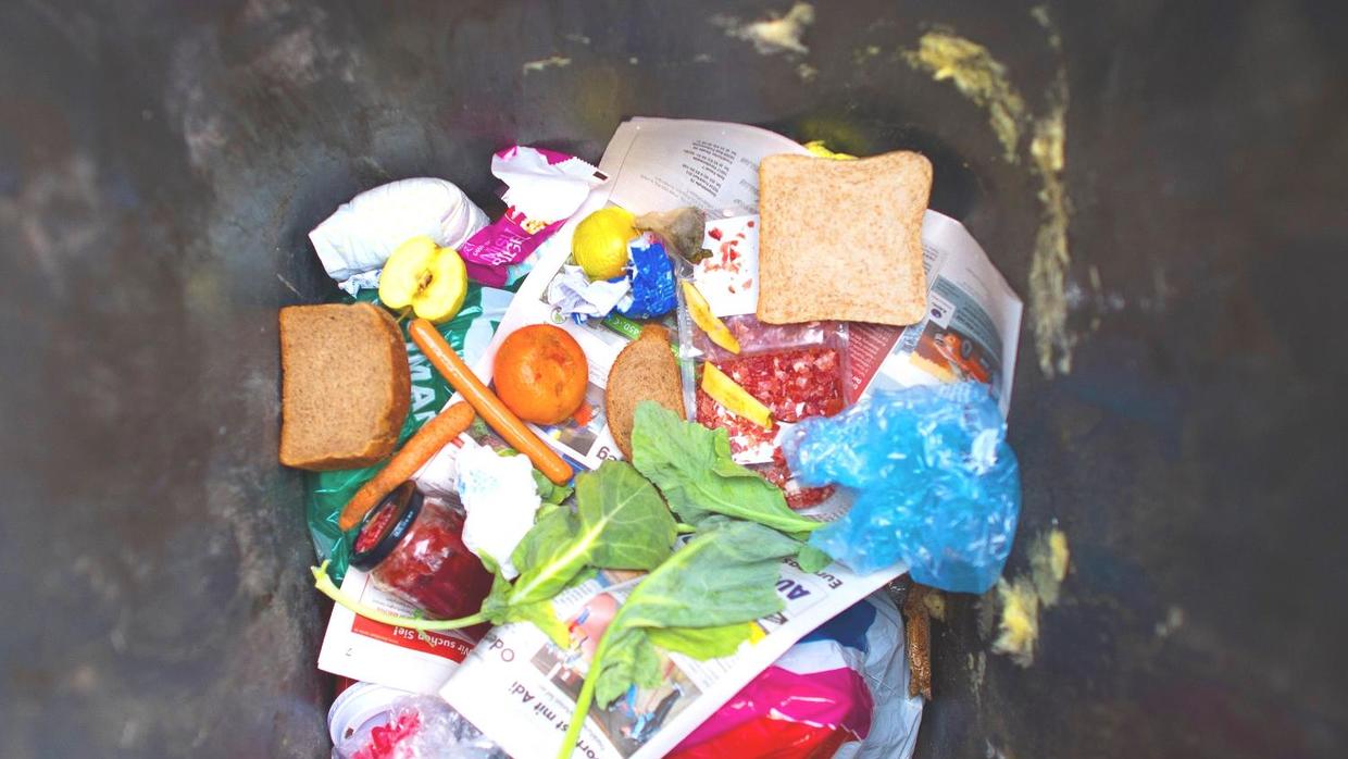 Los estadounidenses desperdician decenas de millones de libras de comida al año