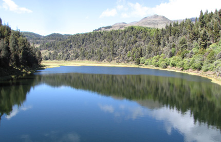 El Consejo de Participación del Espacio Natural de Sierra Nevada se reúne el 27 de julio