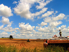 Cambio climático: 21 medidas para la agricultura
