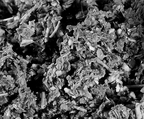 Unos 60 vecinos de La Serena participan en un proyecto de fabricación de abono en sus propias casas