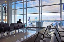 Guía para Compradores: Compras más sostenibles y saludables