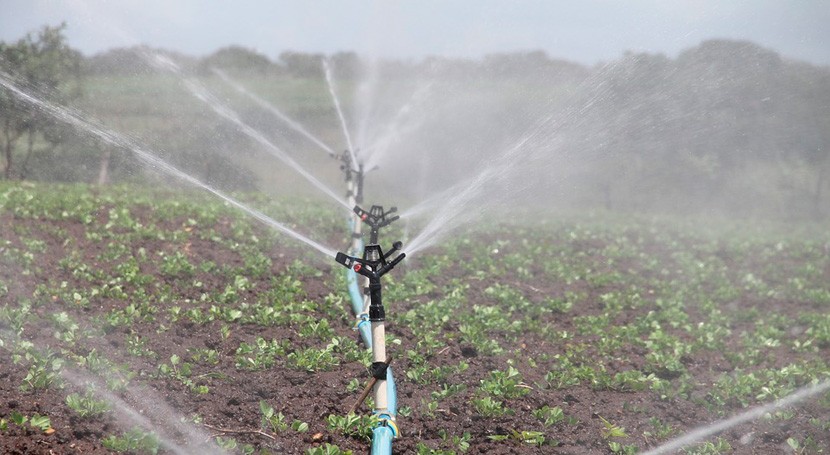 La ‘rentabilidad’ de los derechos de agua en zonas agrícolas un macro-negocio