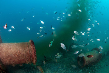 Vertidos de aguas residuales en Jávea (Alicante)