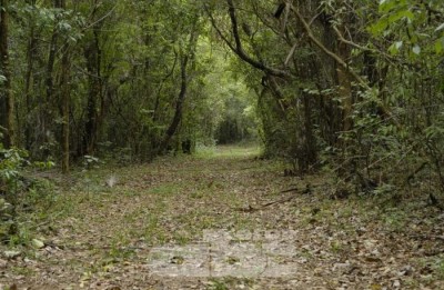 Paraguay. La Seam recibe 4