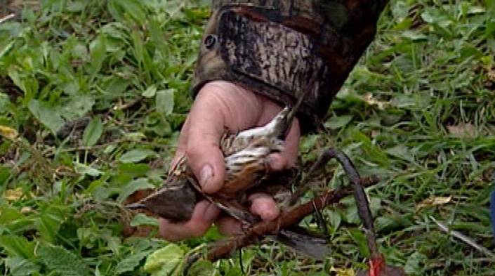 A pesar de ser una práctica prohibida por leyes europeas