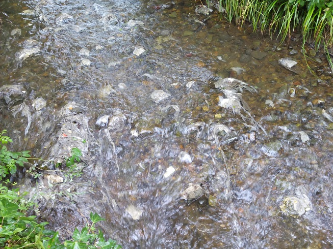 Asturias. Un nuevo vertido al rio Arlos en Corvera